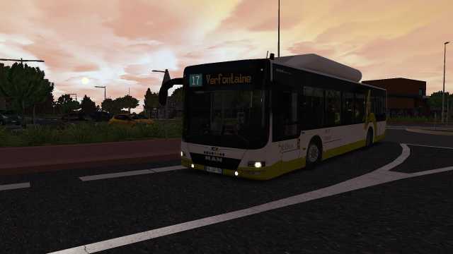 Bibus