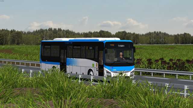 Palmedor 2482